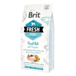 Fresh Adult Large>Brit Discount