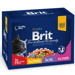 Multipack 12x 100g>Brit Premium Discount
