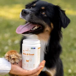 Care Skin & Coat 150 g>Buddy Hot