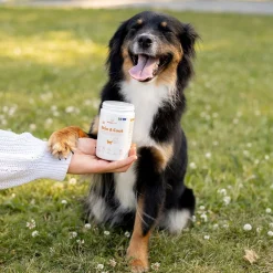 Care Skin & Coat 150 g>Buddy Hot