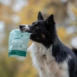 Freeze-dried kalkkuna & tonnikala 100 g>Buddy Sale