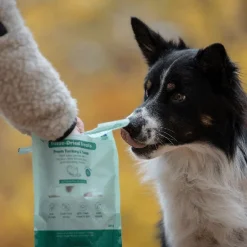 Freeze-dried kalkkuna & tonnikala 100 g>Buddy Sale