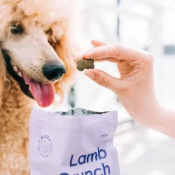 Lammasherkku koiralle 150g>Buddy Sale