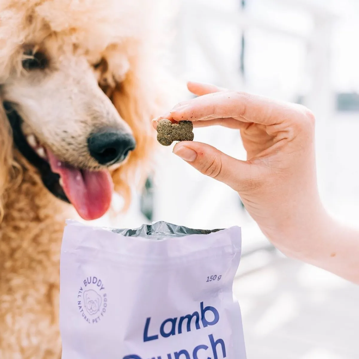 Lammasherkku koiralle 150g>Buddy Sale