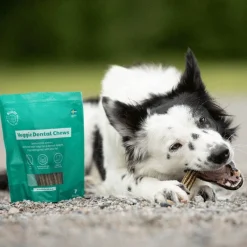 Veggie Dental Chew M>Buddy