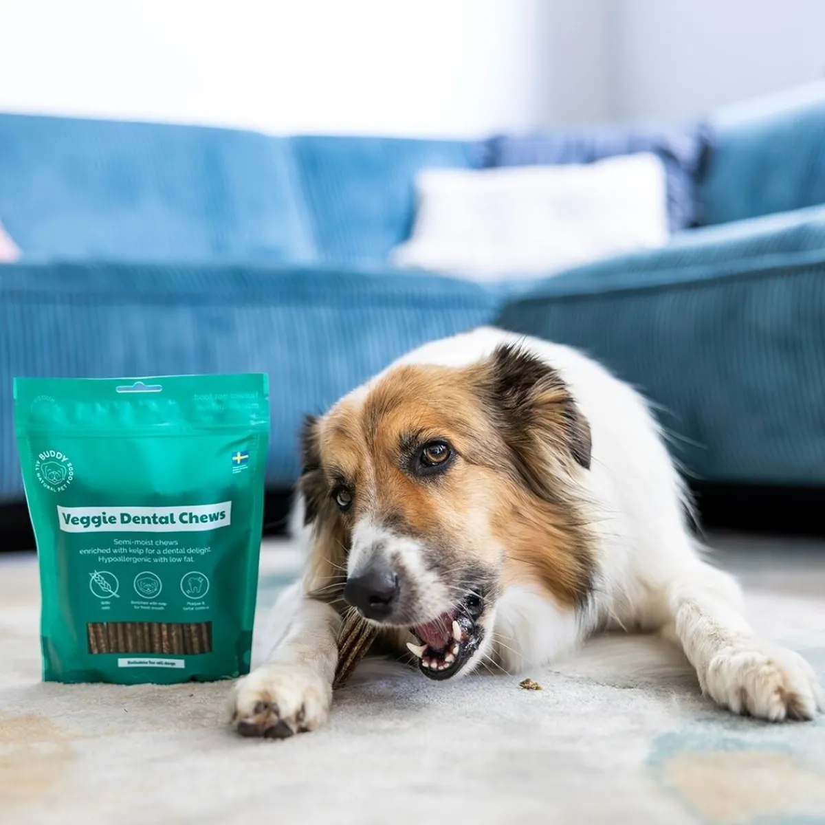 Veggie Dental Chew M>Buddy