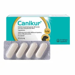 tabletit 12tbl>Canikur New