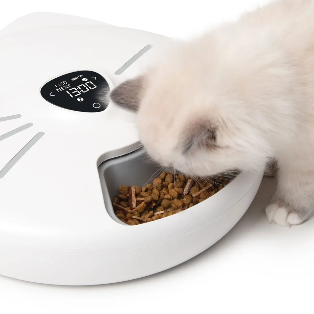 PIXI Smart 6-meal feeder ruokinta-automaatti>Catit Discount
