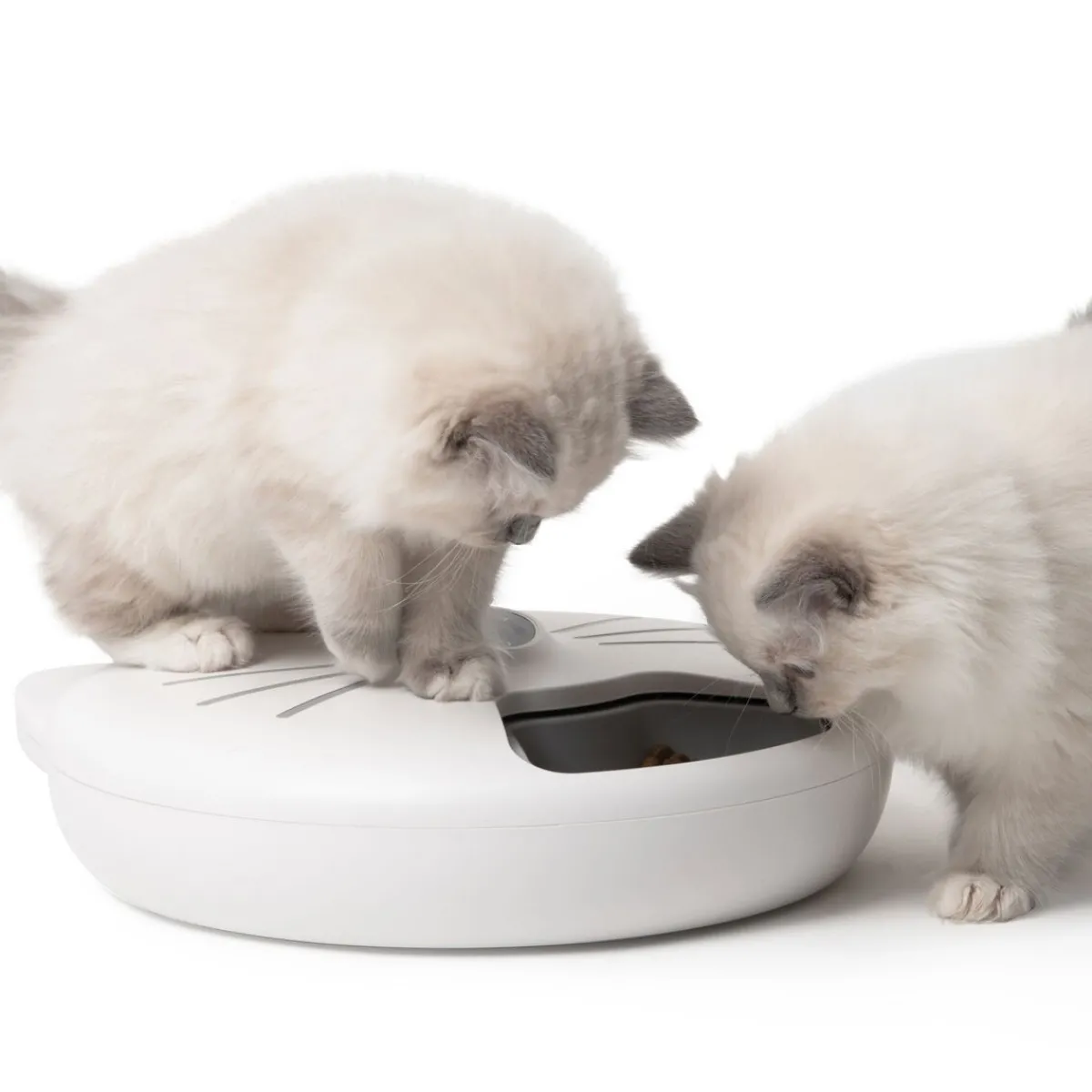 PIXI Smart 6-meal feeder ruokinta-automaatti>Catit Discount