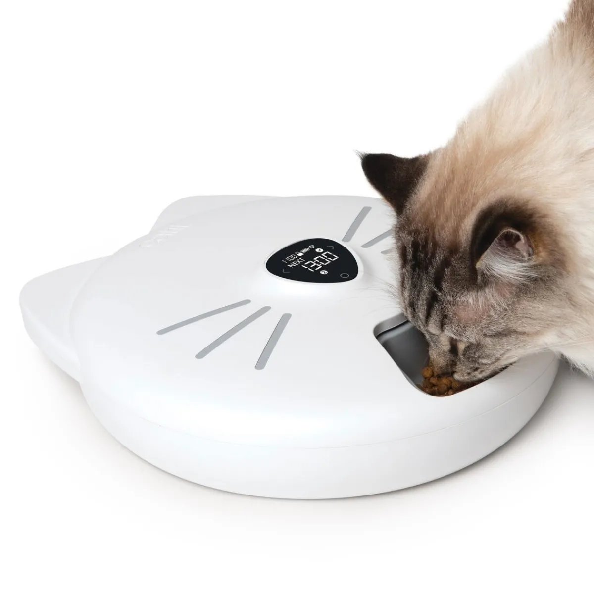 PIXI Smart 6-meal feeder ruokinta-automaatti>Catit Discount