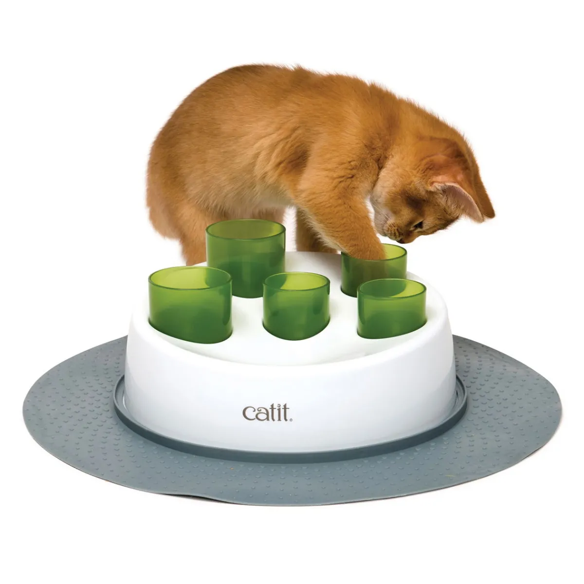 Senses 2.0 Digger>Catit New
