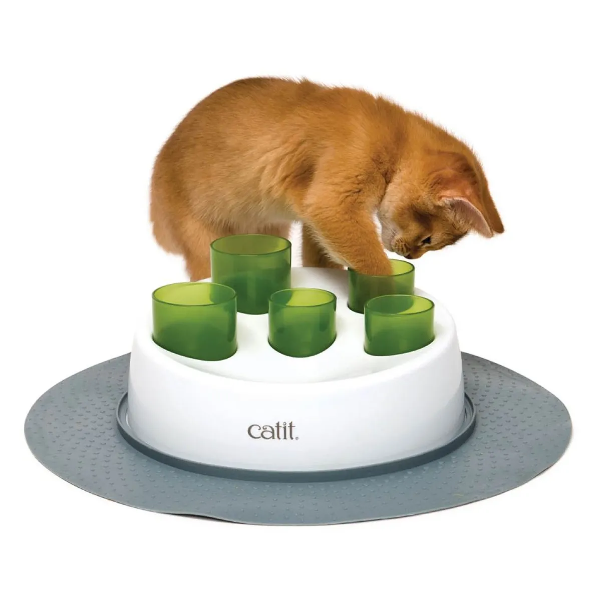 Senses 2.0 Digger>Catit New