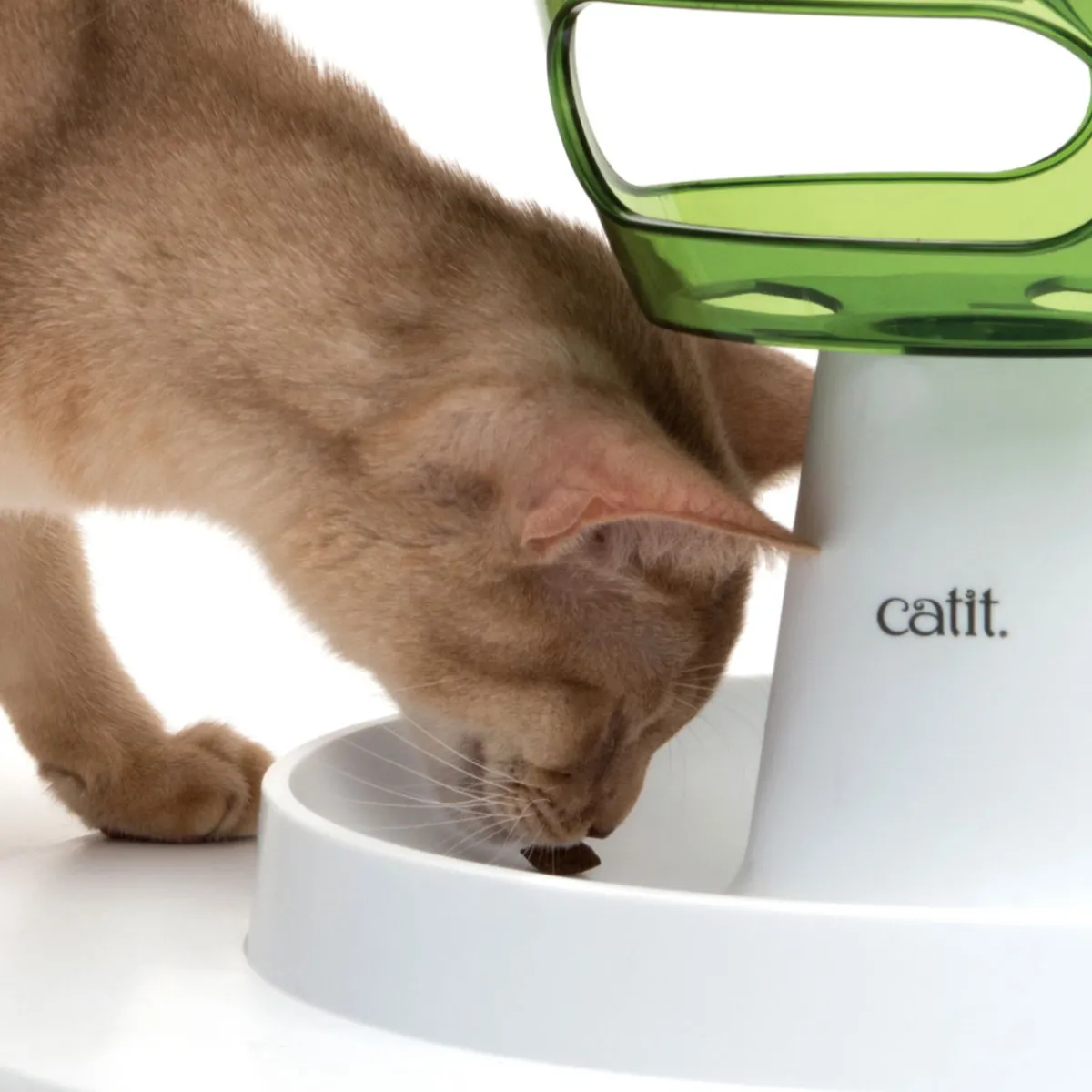 Senses 2.0 Food Tree>Catit Hot