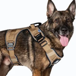 Active valjas, Desert Brown>Cerberos Sale