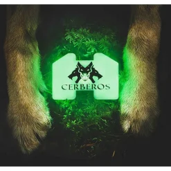 huomiovalo>Cerberos New
