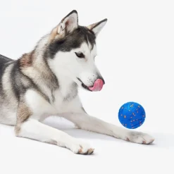 Wicked Ball Air>Cheerble Sale