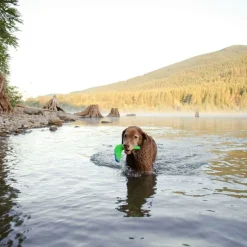 Amphibious Boomerang>Chuckit Outlet