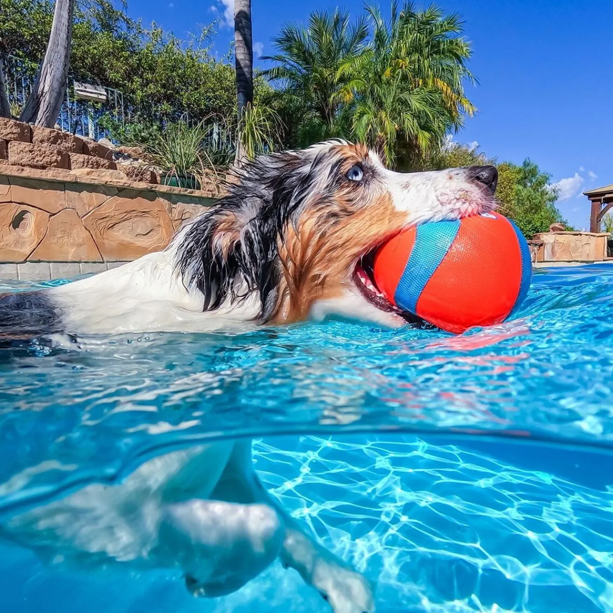 Amphibious Megapallo>Chuckit Sale