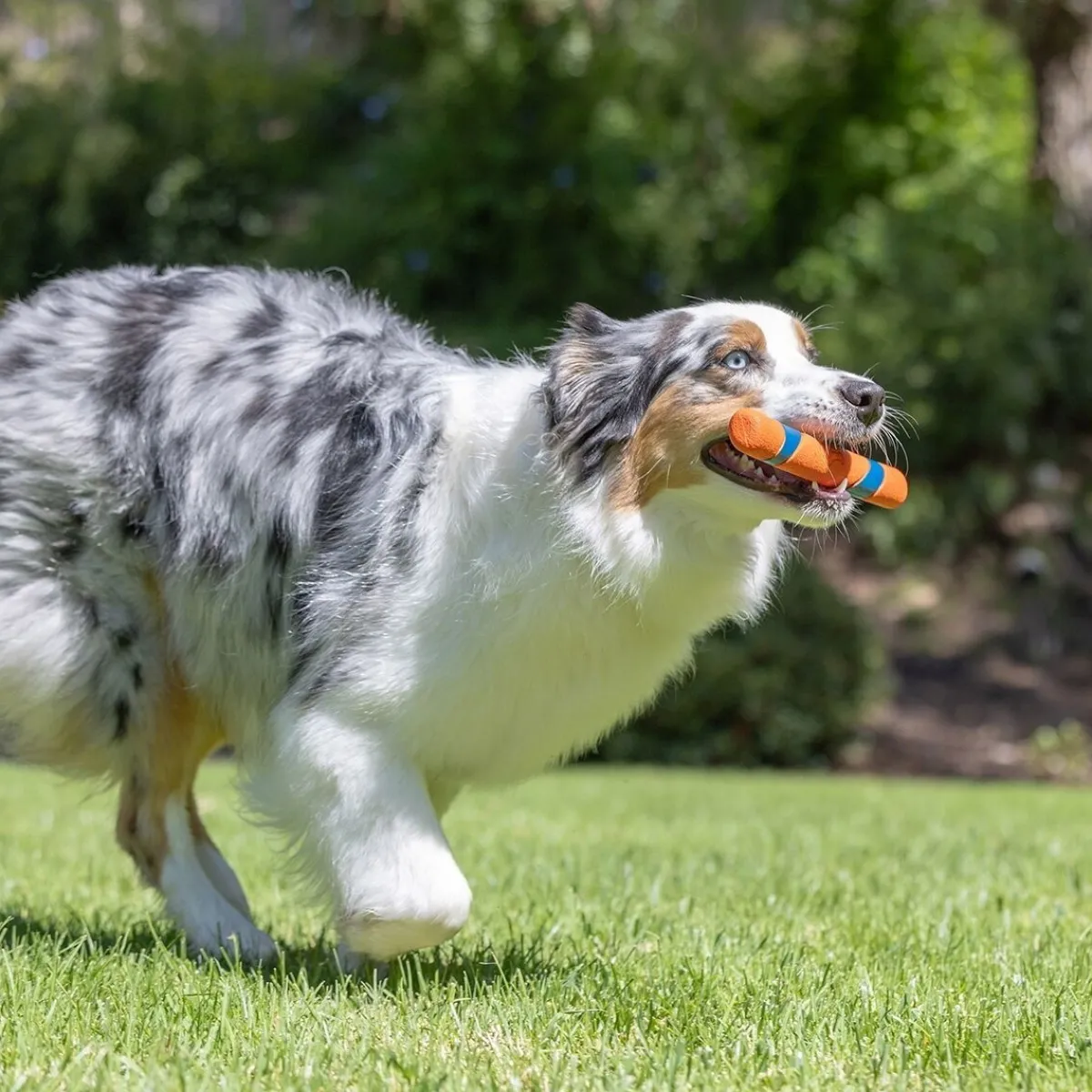 Ultra Fetch Stick>Chuckit Online