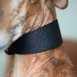 leveä solkipanta, musta glitter>Collar of Sweden Online