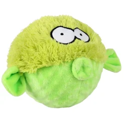 Gary koiranlelu>Coockoo Best