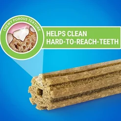 Medium 24-pack>Dentalife Hot