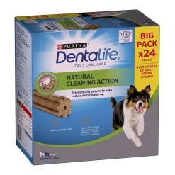 Medium 24-pack>Dentalife Hot
