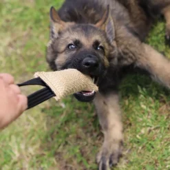 Kamprulle i Jute med 1 Handtag 40 cm>Dingo Gear Discount