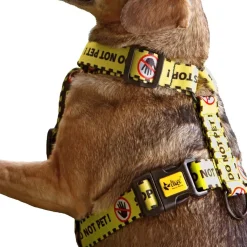 keltainen huomiovaljas Do Not Pet>Dingo Online