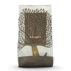 ESSENTIAL BALANCE>Essential Foods
