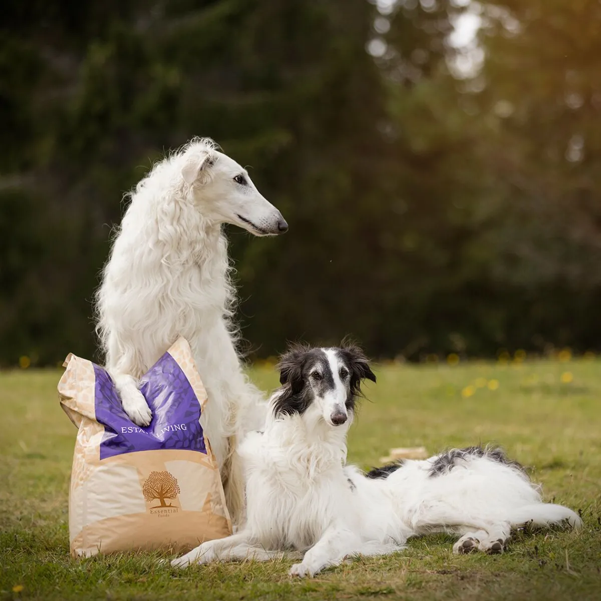 ESSENTIAL ESTATE LIVING 10kg>Essential Foods New