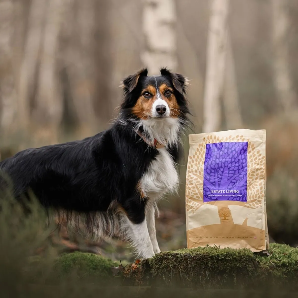 ESSENTIAL ESTATE LIVING SMALL BREED 2,5kg>Essential Foods Hot
