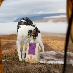 ESSENTIAL HIGHLAND LIVING 10kg>Essential Foods Clearance