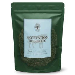 ESSENTIAL Motivation Delights 500g>Essential Foods Outlet