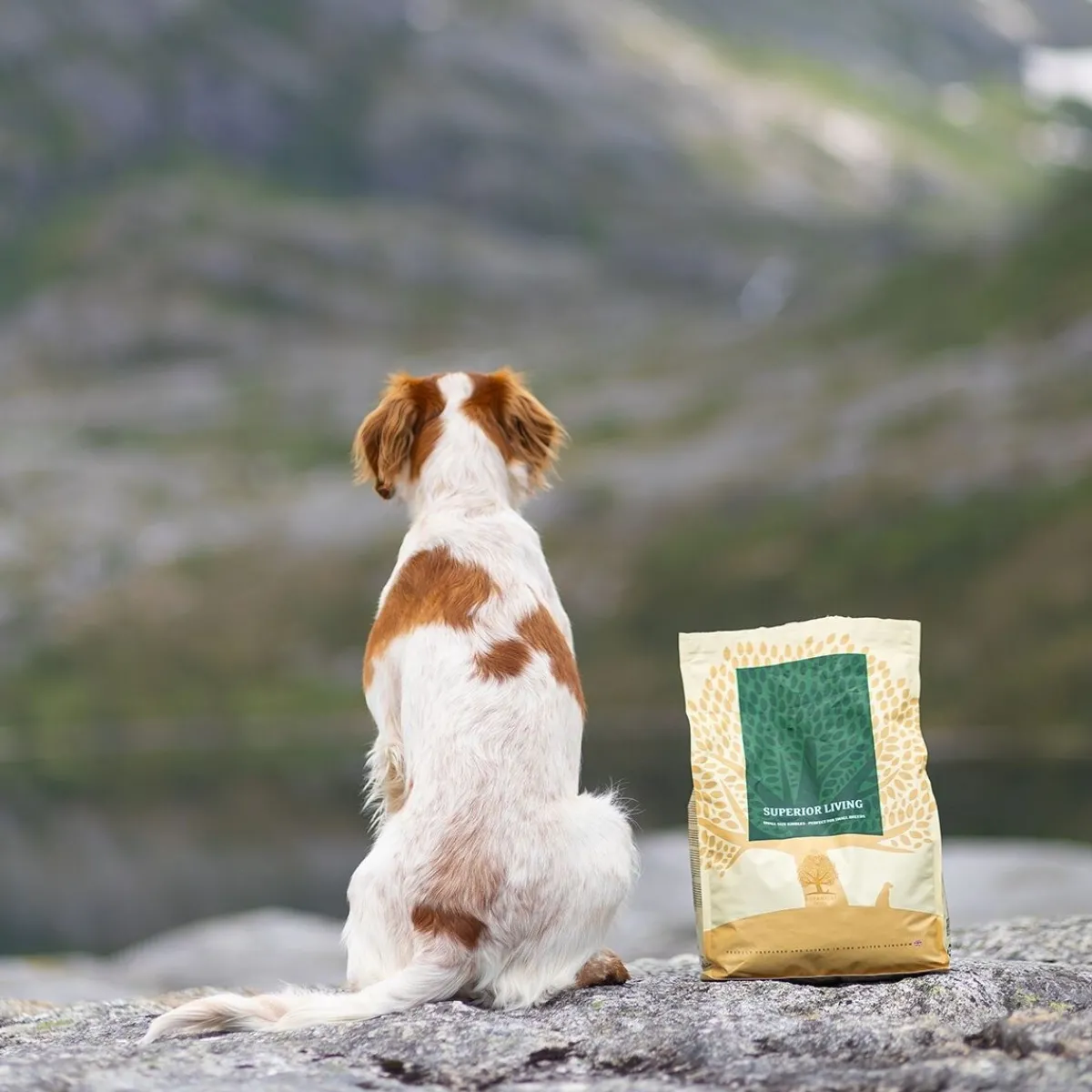 ESSENTIAL SUPERIOR LIVING SMALL BREED 2,5kg>Essential Foods Online