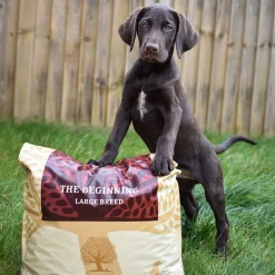 ESSENTIAL the BEGINNING Large Breed 10 kg>Essential Foods Best