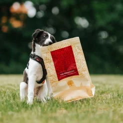 ESSENTIAL the BEGINNING SMALL BREED>Essential Foods Hot