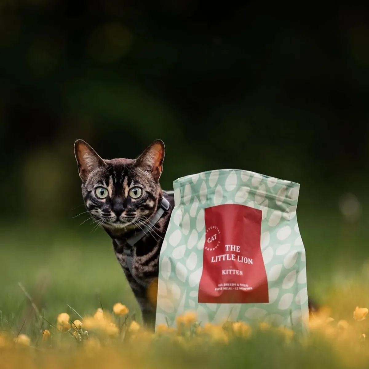 ESSENTIAL The LITTLE LION>Essential Foods New