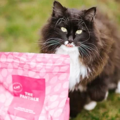 ESSENTIAL The PANTHER>Essential Foods Discount