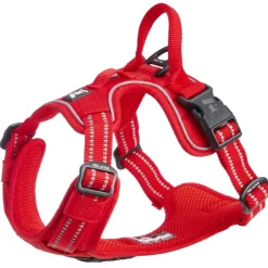 Training valjaat, punainen>Feel Active Discount