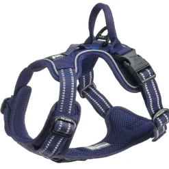 Training valjas, sininen>Feel Active Discount