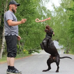 Taavi vetolelu>FinNero Sale
