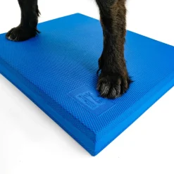 Balance Pad, 38 x 46 x 5 cm>FitPaws Online