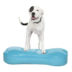 K9FitBone Giant, 86 x 39 x 15 cm>FitPaws Outlet