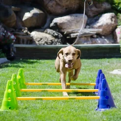 K9-kavaletti 58 x 29 x 10 cm>FitPaws