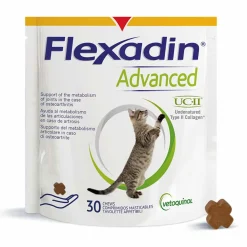 Advanced kissalle>Flexadin Online