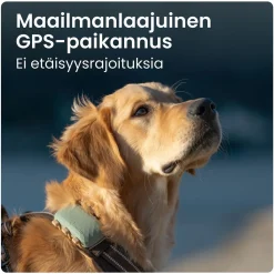 GPS koiralle XL>Tractive Online