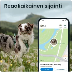 GPS koiralle XL>Tractive Online
