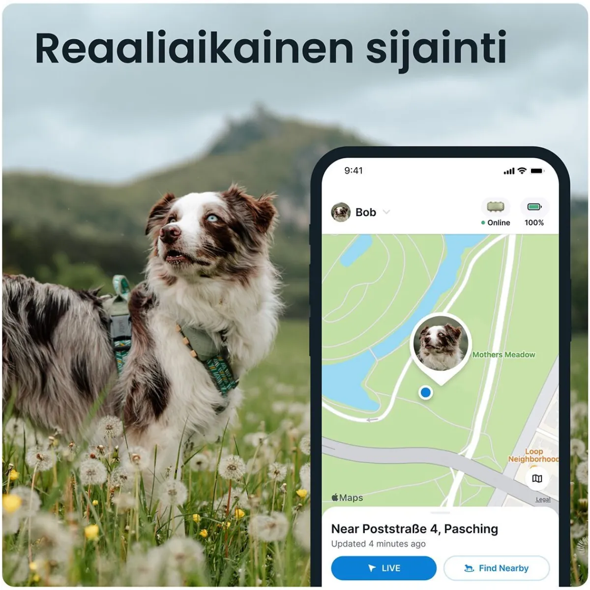 GPS koiralle XL>Tractive Online