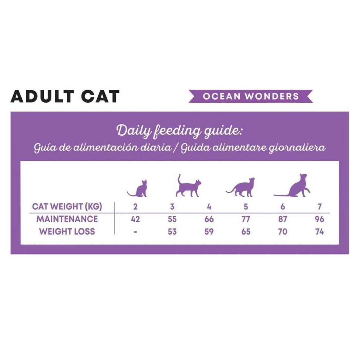 Harper & Bone Cat Adult Ocean Wonders>Harper and Bone Sale